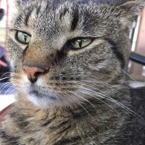 Meet your Posher, Carly